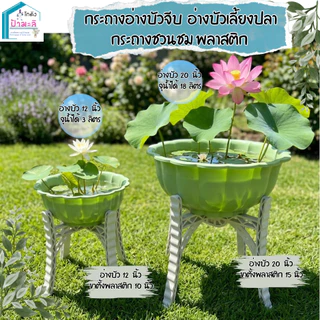 อ่างบัวจีบ อ่างบัวเลี้ยงปลา กระถางชวนชม พลาสติกอย่างดี ขนาด 12 และ 20 นิ้ว