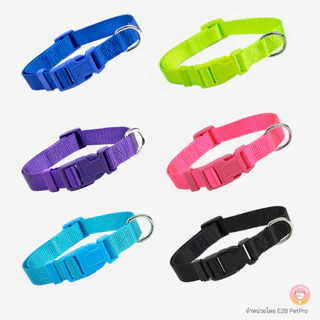 ปลอกคอคัลเลอร์ป๊อป ปลอกคอสุนัข สีโดดเด่น มองเห็นง่าย C084