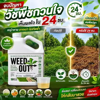 🌿 WEEDOUT กำจัดหญ้าครบวงจร ขนาด 1,000ml. ส่งฟรี ของแท้ ตัวจบทุกปัญหาหญ้ารก ช่วยให้แปลงสะอาดพร้อมสร้างผลผลิต ของเเท้