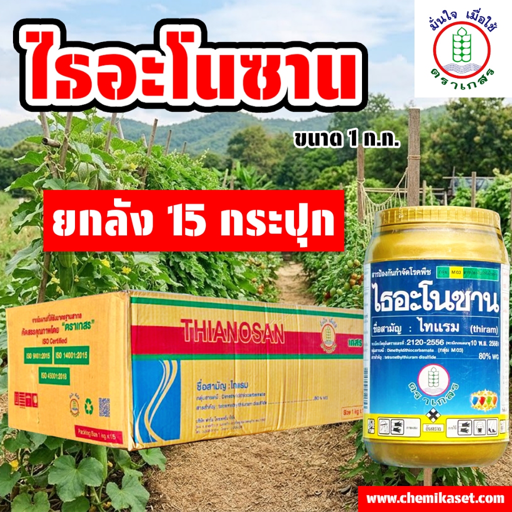 (ยกลัง15กระปุก) ไธอะโนซาน ขนาด 1 ก.ก. ไทแรม80%WG สารป้องกันและกำจัดโรคพืช สารกำจัดเชื้อรา แบคทีเรีย