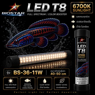 หลอดไฟใต้น้ำT8 BIOSTAR LED T8 6700K SUNLIGHT เปลี่ยนตู้ปลาธรรมดา ให้สวยโดดเด่นในทันที! ขนาด BS-26/36/52/72/92