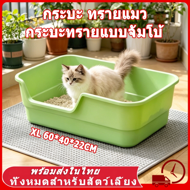 🆕 กะบะทรายแมว ห้องน้ําแมว 60CM ถาดทรายแมว ทรายแมว กระบะทรายแบบจัมโบ้ ขนาด กระบะทรายแมว ห้องน้ำแมวขนาดใหญ่ กระบะทราย 😻