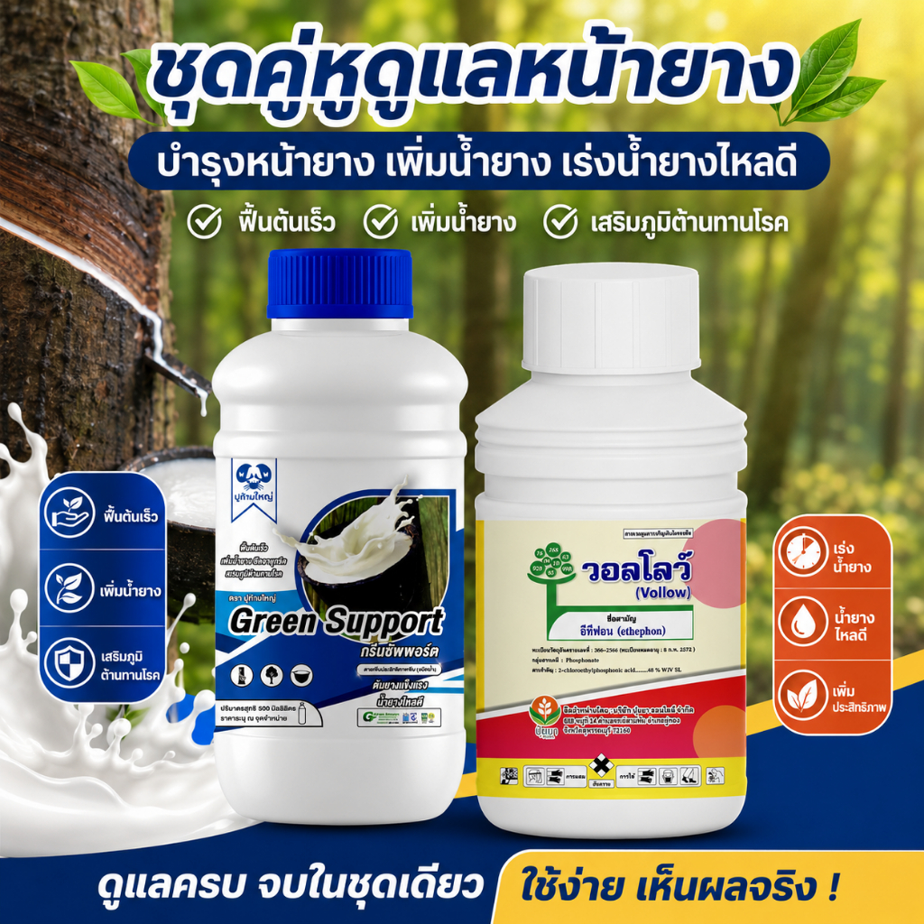 อีทีฟอน และกรีนซัพพอร์ต เร่งน้ำยางพารา และรักษาหน้ายาง