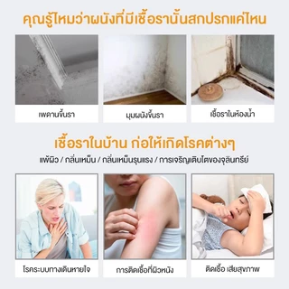 น้ำยาเช็ดเชื้อรา 500ml น้ำปราศจากไอออน อัตราการฆ่าเชื้อสูงถึง 99% กำจัดโรคราน้ำค้างซึมลึก อย่างรวดเร็ว