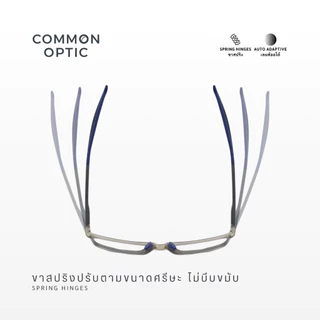 Common Optic แว่นสายตาเลนส์ออโต้ 1018 ออกแดดเปลี่ยนสี กรองแสง สายตายาว ขาสปริง ป้องกันแสง UV ป้องกันแสงสีฟ้า