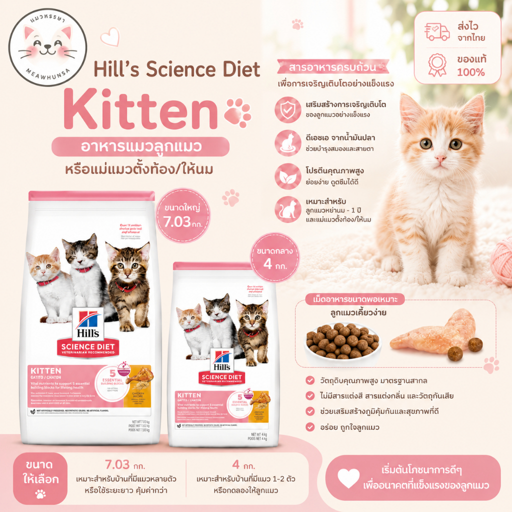 Hill's Science Diet  ฮิลส์ อาหารแมว สำหรับลูกแมว หรือแม่แมวตั้งท้อง/ให้นม