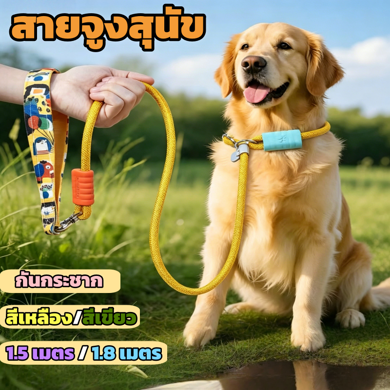 สายจูงสุนัข สายจูงฝึกสุนัข ป้องกันสัตว์กระโดดฉุด ปลอดภัย สะท้อนแสงสูง ไม่รัดมือ 150/180 ซม.เหมาะฝึกกลางแจ้ง