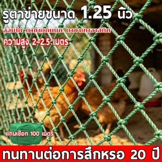 ตาข่าย อวนล้อมไก่ รั้วตาข่าย ตาข่ายกรงไก่ ตะข่ายล้อมไก่ ตาข่ายล้อมไก่ อวน ดาง ล้อมไก่ อเนกประสงค์ กรงไก่ เลี้ยงไก่ กันงู