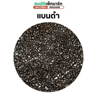 หินตกแต่งตู้ปลาและสวน ขนาด 500–1,000g. เพิ่มความสวยงามให้ตู้ปลา บ่อปลา สวนถาด กระถางต้นไม้ งานจัดสวน