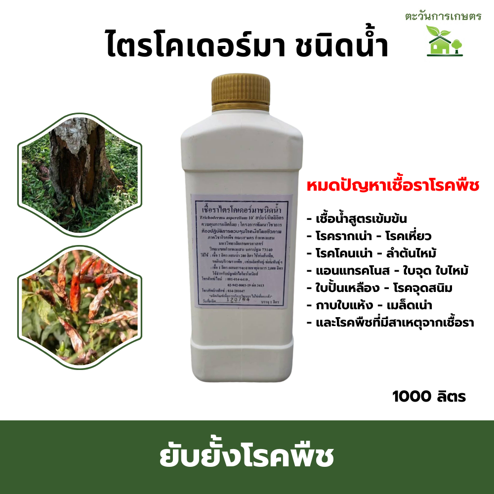 ไตรโคเดอร์มา​ 1ลิตร​  ชนิดน้ำพร้อมใช้​ ของแท้