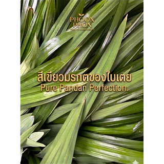 ผงใบเตย คุณภาพดี มีอย. กลิ่นหอม ธรรมชาติ 100% ไม่แต่งสี ไม่แต่งกลิ่น ไม่ใส่วัตถุกันเสีย