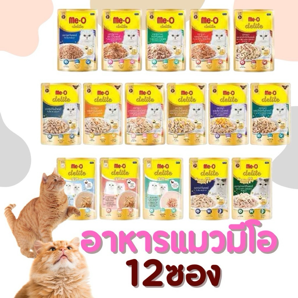 อาหารเปียกแมวมีโอยกกล่อง12x70gคละรสชาติได้