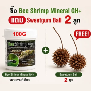 Salty Shrimp Bee Shrimp Mineral GH+ (ตักแบ่งจากกระปุกใหญ่) แร่ธาตุกุ้งเรดบี กุ้งแคระ FREE! Sweetgum Ball 2 ลูกรวม 46 บาท