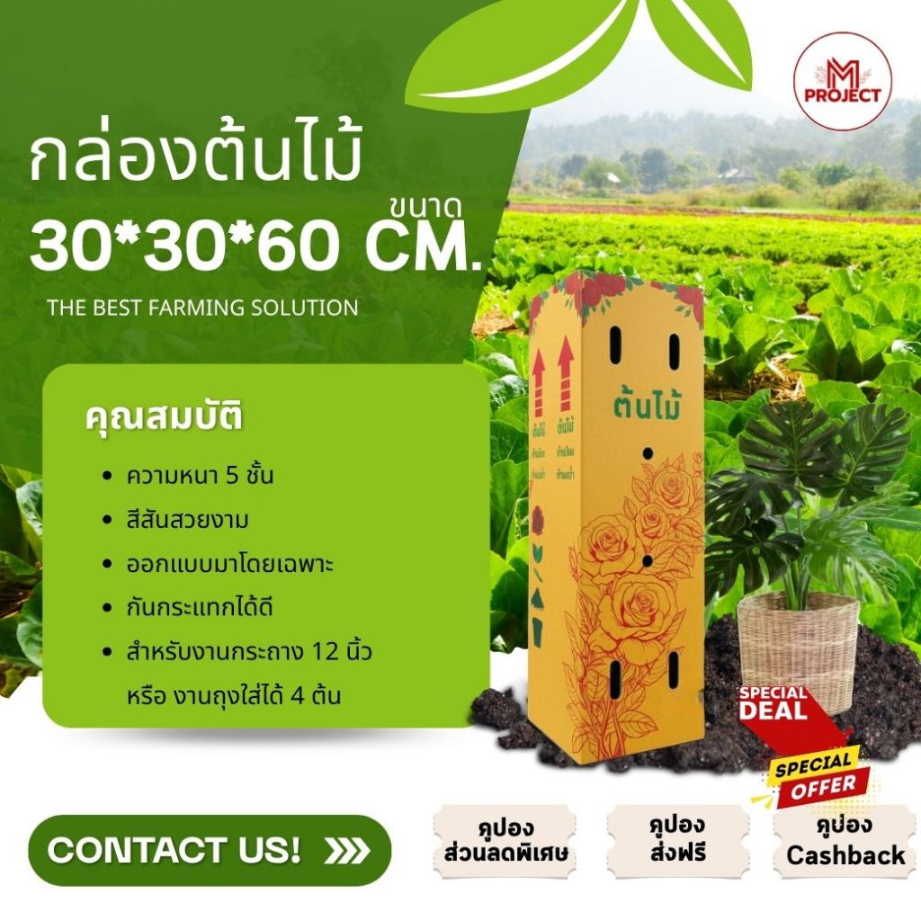กล่องต้นไม้ความหนา 5 ชั้น ขนาด 30x30x60 ( แพ็ค 10 ) กันกระเเทกได้ดี ในราคาพิเศษสุดคุ้ม
