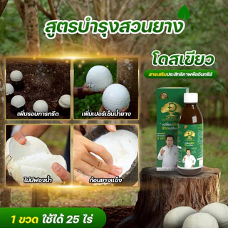 [ร้านค้าบริษัท]แก้หน้ายางตายนึ่งยางพารา โดสเขียว+โดสฟาส ขับเชื้อราออกท่อน้ำยาง บำรุงใบ บำรุงต้น