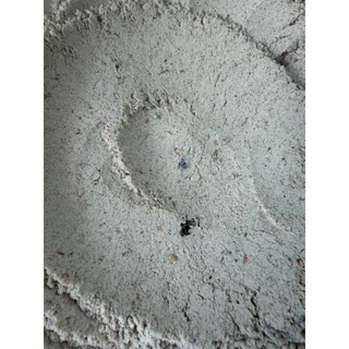 Purple wheat whole grain mix Backaldrin PUR PUR mix ขนาดแบ่งบรรจุ 1 kg.