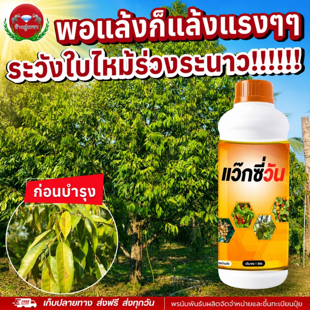 แว๊กซี่วัน ปุ๋ยน้ำบำรุงพืช ป้องกันใบไหม้ ใบเหลือง เคลือบใบกันแดด ใบเขียวสด ลดความเครียดพืช ช่วยฟื้นต้นโทรม ใช้ได้ทุกพืช