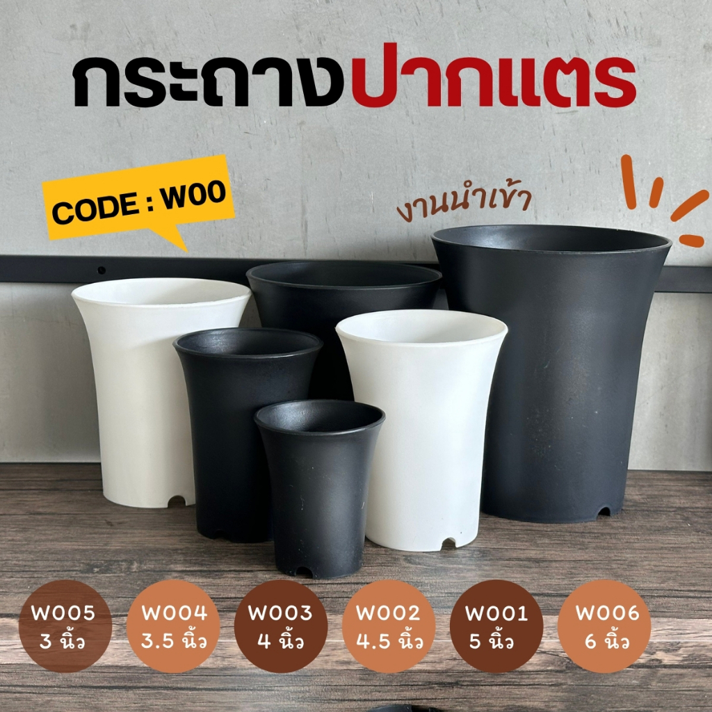 กระถางปากแตร woo 3นิ้ว 3.5นิ้ว 4นิ้ว 4.5 นิ้ว 5 นิ้ว 6 นิ้ว(เนื้อด้าน ทรงมาตรฐาน) กระถางกระบองเพชร กระถางแคคคัส