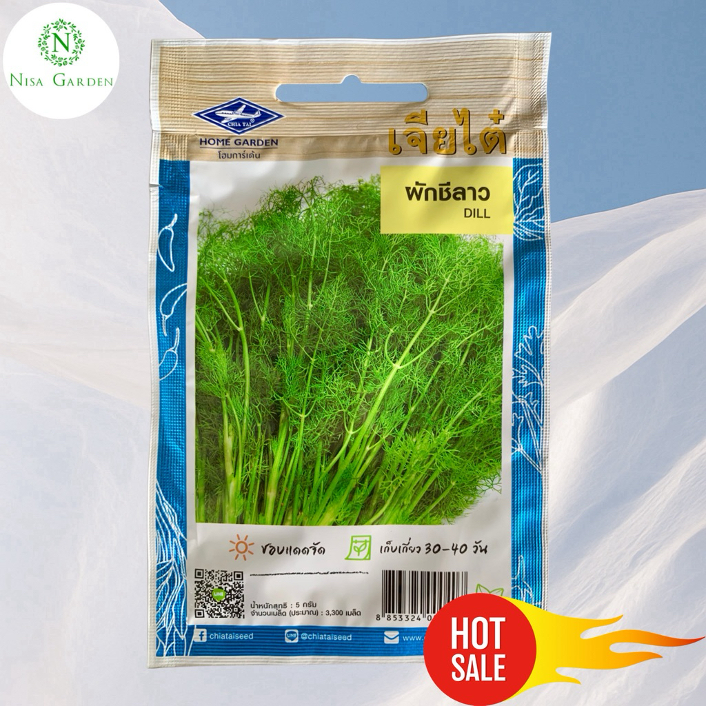 Nisa Garden เมล็ดพันธุ์ ผักชีลาว กลิ่นหอม งอกง่าย โตเร็ว