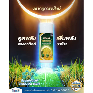 บอมบ์ ไรซ์บูสเตอร์ ไอซีพี ลัดดา ผลิตใหม่2569 เสริมการสังเคราะห์แสง สร้างอาหารพืช 1ลิตร