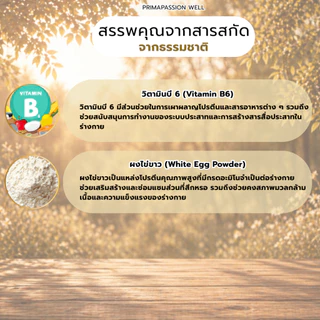 BETA LIFE เบต้า ไลฟ์ ผลิตภัณฑ์ดูแลสุขภาพไต ลดความเสี่ยงการเลื่อมของไต และฟื้นฟูระบบ