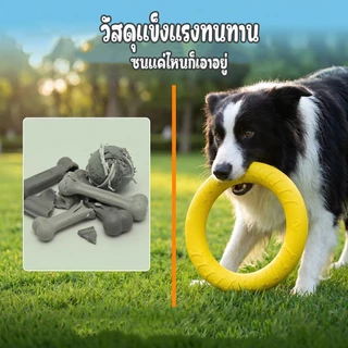 ของเล่นสุนัขออกกำลังกายลอยน้ำได้ ห่วงโยนรับจานบินและลูกบอล ช่วยคลายเครียด เสริมสร้างความสัมพันธ์กับเจ้าของ
