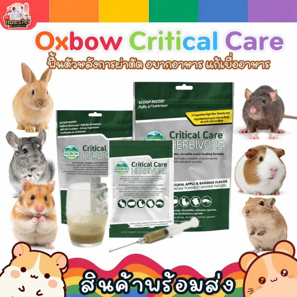 [HiHamster]Oxbow Critical Care คริติคอล แคร์ อาหารผงสำหรับสัตว์ป่วย ทานเองได้น้อย ต้องป้อน กระต่าย แกสบี้ ชินชิลล่า