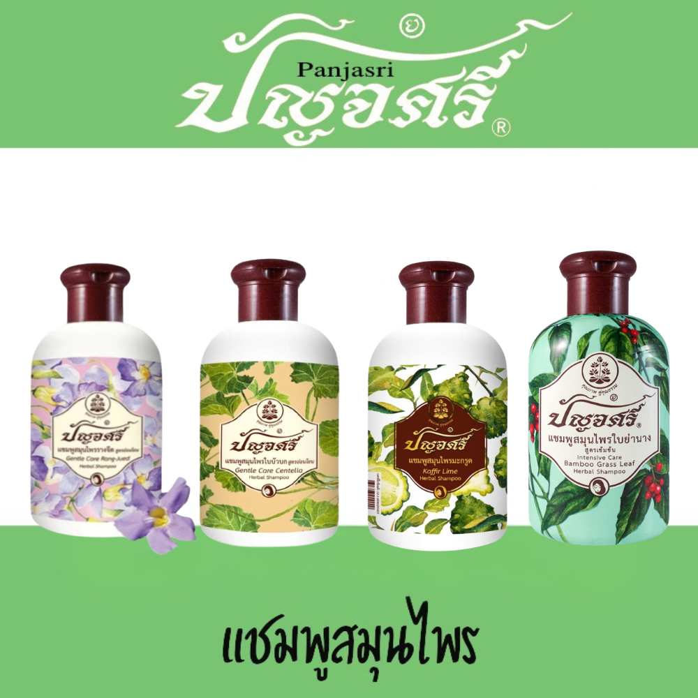 แชมพูสมุนไพร มะกรูด/ใบบัวบก/ ว่านหางจระเข้/ รางจืด 250 มิลลิลิตร ปัญจศรี ปัญจะศรี