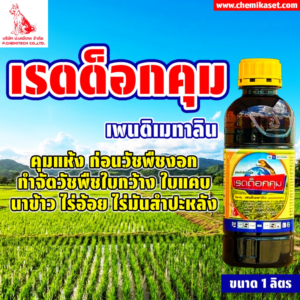 เรดด็อกคุม 1ลิตร ตราหมาแดง คุมน้ำเหลือง(เพนดิเมทาลิน) คุมแห้ง คุมหญ้าน้ำเหลือง