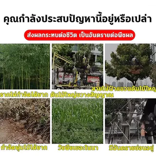 GEMI หยดรากเน่า ยาฆ่าต้นไม้ใหญ ยากำจัดต้นไม้ 200ml สูตรเข้มข้น ยาฆ่าตอต้นไม้ สารกำจัดกอไผ่ ยาฆ่