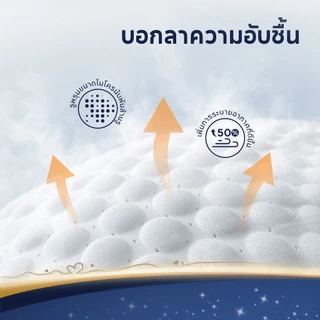 [3 แพ็ค] Aiwibi Ultimate Comfort Tape ผ้าอ้อมเด็กแบบเทป แพมเพิสเด็ก ซึมซับ 14 ชม. สำหรับกลางคืน ผิวแพ้ง่าย