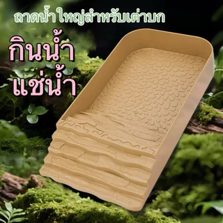 S5 ถาดน้ำใหญ่สำหรับเต่าบก [S5 27x14x4cm] เดินเข้ามากินน้ำ แช่น้ำ โดยเฉพาะเต่าซูคาต้า ต้องการแช่น้ำบ่อย