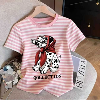 เสื้อยืดผู้หญิงลายทางสำหรับฤดูร้อนแบบใหม่ มีหลายแบบให้เลือก ขนาด M-3XL จัดส่งจากกรุงเทพฯ