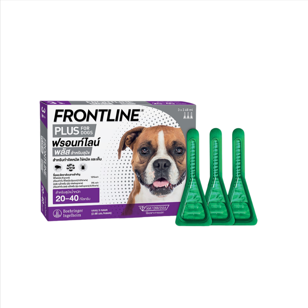 FRONTLINE PLUS DOG Size M (20-40 kg) ฟรอนท์ไลน์ พลัส ยาหยดกำจัดเห็บหมัด สำหรับสุนัข น้ำหนัก 20-40 กก ยาหยอดเห็บหมัด สุนั