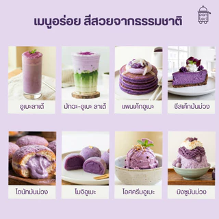 ผงอูเบะ UBE POWDER จากธรรมชาติ100% นำเข้าฟิลิปปินส์ | สำหรับเครื่องดื่ม เบเกอรี่ และไอศกรีม ตรา แพนโทริ