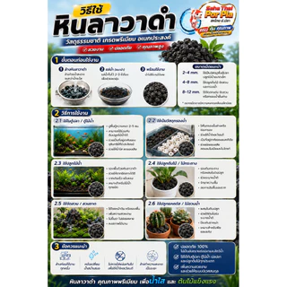 หินลาวาดำ วัสดุปูพื้นตู้ปลา เกรดพรีเมียม 🪨 เปลี่ยนตู้ปลาให้สวยเป็นธรรมชาติ พร้อมช่วยสร้างระบบนิเวศที่ดีให้ปลาและไม้น้ำ