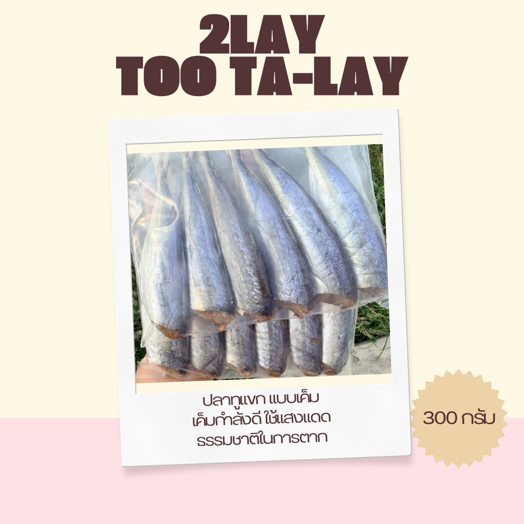 ปลาทูแขก เค็มกำลังดี ขนาด300กรัม(พร้อมส่ง)