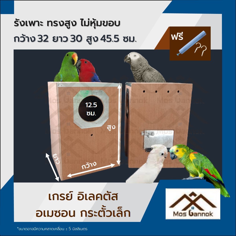 รังเพาะนก แอฟฟริกันเกรย์ อิเล็คตัส ไม่หุ้มขอบ ทรงสูง แนวตั้ง กล่องไข่นก เกรย์ ลังเพาะนก รังนก ลังนก