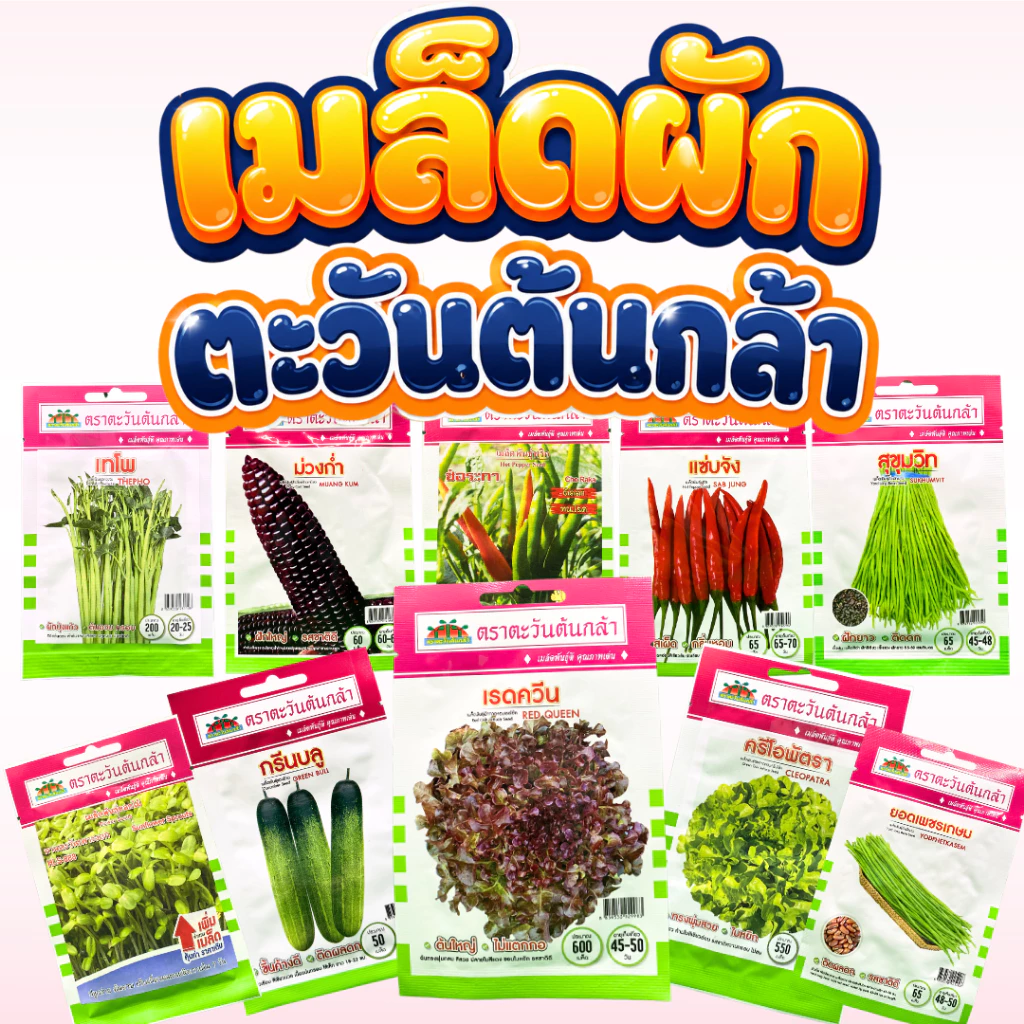 เมล็ดผักซอง ตราตะวันต้นกล้า เมล็ดผักคุณภาพดี (**ผักซอง**) เมล็ดผักบุ้ง ผักสลัด พริก ผักชี แตงกวา