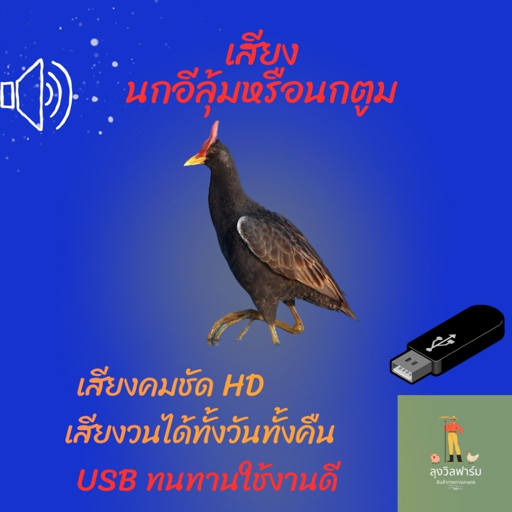 เสียงนกอีลุ้ม,เสียงนกตูม,เสียงวนได้ทั้งวันทั้งคืน ใน Flash Drive