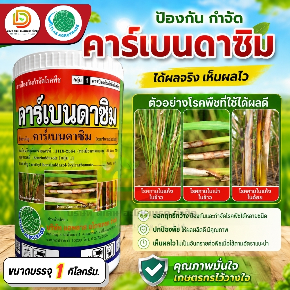 #คาร์เบนดาซิม (ผง)  เชื้อรา โรคใบไหม้ โรคใบจุดสีน้ำตาล โรคราแป้ง โรคแอนแทรกโนส โรคเมลาโนส โรคใบจุดสีม่วง