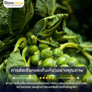 🛒Oishi-Fresh🥬กะหล่ำดาว ปลอดสารพิษ 1 กก. รสชาติกรอบ สด ใหม่ ใยอาหารสูง หวานออร์แกนิค เคลมได้ 1-2 วัน