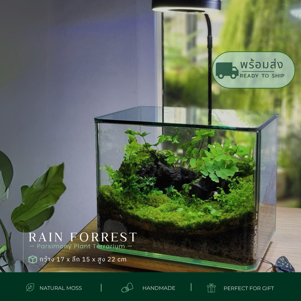 พร้อมส่ง สวนขวดแก้วขอบโค้งนาโน+ฝาอะคลิลิค terrarium  ของแต่งบ้าน ของขวัญ