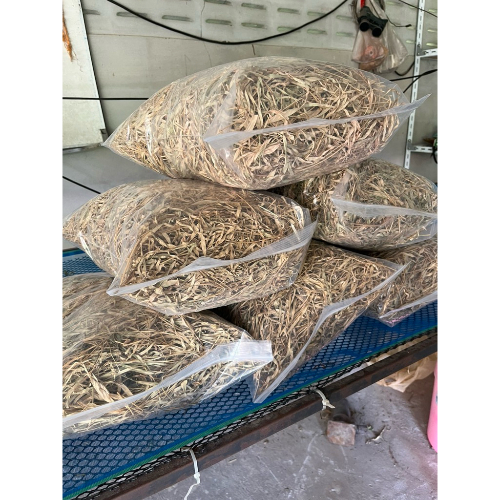 คาวาลเคตแห้ง ตัดสดอายุ60วัน ทำให้โปรตีนสูง14%ไฟเบอร์สูงก่า29%แคลเชียมต่ำมาก1% ออแกนิคฟาร์มปลูกเอง ใช้พลังงานแสงอาทิตย์
