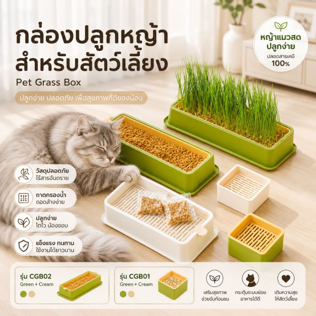 🐱[PetParadise.th]🐶ชุดปลูกต้นอ่อนข้าวสาลี ถาดปลูกหญ้าแมว ข้าวสาลีแมว ปลูกง่าย ไม่ใช้ดิน หญ้าแมว ออร์แกนิค