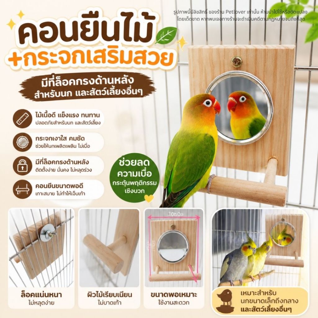 คอนยืนไม้ + กระจกเสริมสวย ของเล่นไม้ มีที่ล็อคกรงด้านหลัง สำหรับนก และสัตว์เลี้ยงอื่นๆ