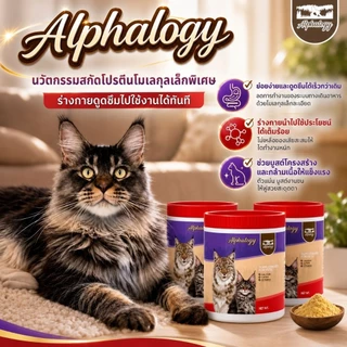 🔥 เซ็ต 3 กระปุกคุ้มสุด ลูกค้าซื้อซ้ำเยอะช่วยบำรุงขน เพิ่มน้ำหนัก กินง่าย น้องแมวชอบค่ะ 🐱💕