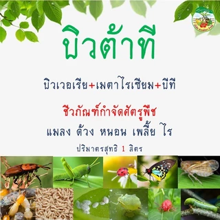 ชีวภัณฑ์บิวเวอเรีย บิวเวอร์เรีย เมตาไรเซียม เมทาไรเซียม เมธาไรเซียม บีที บิวต้าที เชื้อราป้องกัน กำจัด และควบคุมศัตรูพืช