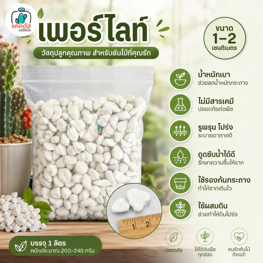เพอร์ไลท์ ขนาด(ใหญ่) 1- 2 เซน รองก้นกระถาง แคคตัส ไม้อวบน้ำ ผสมดินปลูก ไม้ฟอกอากาศ รากเดินดี โปรง ระบายน้ำได้ดี