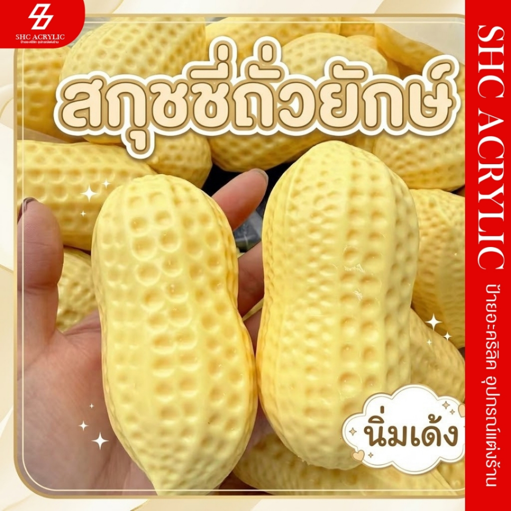 สกุชชี่ถั่วยักษ์ นุ่มเด้ง สโลว์รีบาวด์ ของเล่นบีบคลายเครียด เนื้อหนึบฟินมือ คืนตัวช้า น่ารักน่าสะสมสุดๆ
